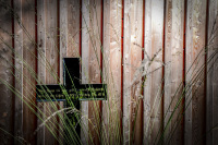 filigree grasses and ab black metal cross in front of a wooden wall