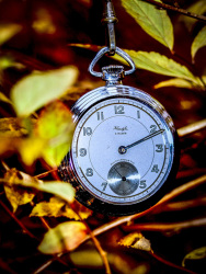an old silver pocket watch is hanging in yellow autumn leaves
