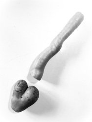 a funny exclamation mark is builded by a carot and a potatoe, black-and-white