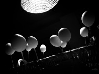 on wooden sticks there are standing white eggs for painting for eastern, black-and-white