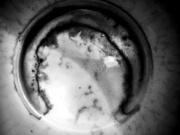 maybe you see also a profile of a head in this coffee grounds, black-and-white