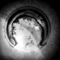 maybe you see also a profile of a head in this coffee grounds, black-and-white