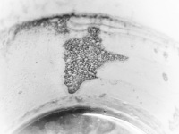 this coffee grounds at the cup rim shows a figure who points to something, black-and-white