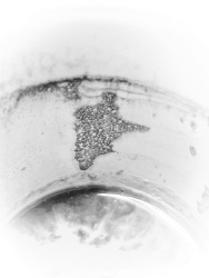 this coffee grounds at the cup rim shows a figure who points to something, black-and-white