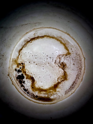 many light brown and dark brown nuances are in this coffee grounds