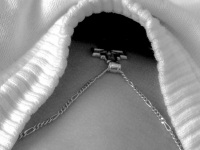 a gold chain with a cross in a neckline of a white pullover, black-and-white