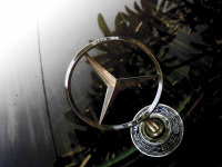 a polished silver mercedes star on the engine hood of a clk