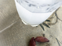 a glass of ouzo and three olivestones on a papier tablecloth with olive design