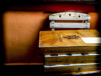 some old backgammon boards are laying on an old wooden chair