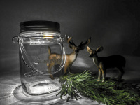 a shining solar lantern, green sprig and plastic deers