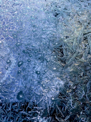 nice ice flowers on the windshield of am black bmw e60