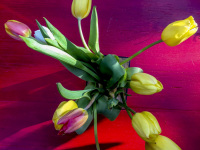 a bunch of yellow tulips on a red wooden table