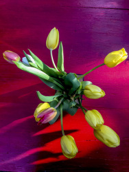 a bunch of yellow tulips on a red wooden table