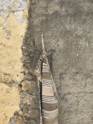 at a wall in nuances of brown, beige and grey is hanging a woven carpet in the same colors