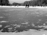 ice skater on a frozen lake in müden örtze in lower saxony, black-and-white
