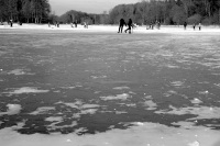 ice skater on a frozen lake in müden örtze in lower saxony, black-and-white