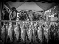 on a christmas market in faßberg hanging smoked trout at smoking hooks, black-and-white