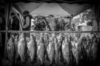 on a christmas market in faßberg hanging smoked trout at smoking hooks, black-and-white