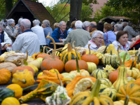 behind many pumpkins you see older people at an autmn market in hermannsburg