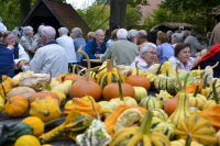 behind many pumpkins you see older people at an autmn market in hermannsburg