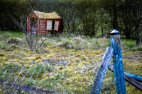behind an old blue garden fence there is standing a small red playing house for children on a green meadow in unterlüß