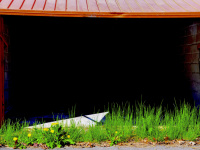 view in the dark of a orange garage  in bergen where green dandelion is growing in front of it