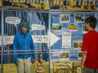 a teenager is watching a wall with posters and texts of an exposition about africa in the evangelical mission in hermannsburg
