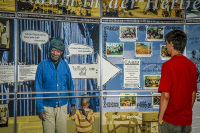 a teenager is watching a wall with posters and texts of an exposition about africa in the evangelical mission in hermannsburg