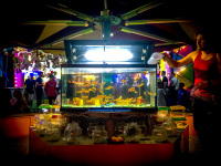 a man sells goldfishes on the funfair in kremasti on rhodes by night