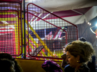a little purple dolphin and a women in front of a carousel in kremasti on rhodes