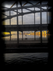 out of a train shortly befor hamburg you see the elbe, the freihafenelbbrücken and from the early morningsun illuminated houses
