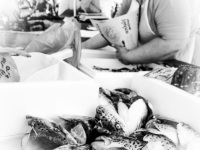 behind a basket full of fish heads a woman fills fish into bags on the market in aegio, black-and-white
