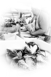 behind a basket full of fish heads a woman fills fish into bags on the market in aegio, black-and-white