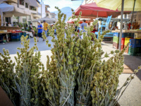 on the market in aegio are bunches of mountain tea for sale