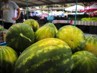 gigantic watermelons are saled on the market in rhodes city