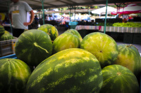 gigantic watermelons are saled on the market in rhodes city