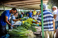 father and son are selling spring onions on the market in rhodes city