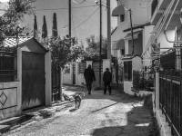two men are walking with their dogs down an alley in the greek village diakopto, black-and-white