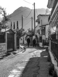two men are walking with their dogs down an alley in the greek village diakopto, black-and-white