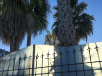 big palms are standing behind a black steel fence in diakopto which is covered with a plastic tarp