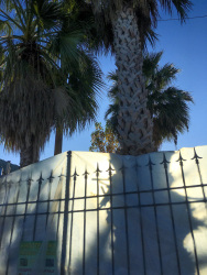 big palms are standing behind a black steel fence in diakopto which is covered with a plastic tarp