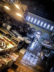 the sellers in the fish hall at the central market in athens just before closing time
