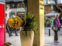 through the glassdoor of the hotel attalos in athens you see the street and a woman who looks at the hotel