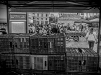 behind plastic fruit crates you see the little monastiraki church in athens and the square with many people, black-and-white