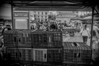 behind plastic fruit crates you see the little monastiraki church in athens and the square with many people, black-and-white