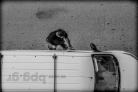 from above you see a driver in chalkida, how he is getting in his white van, black-and-white