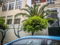 behind a blue car in piraeus are orange trees, palms and a painted schoolwall