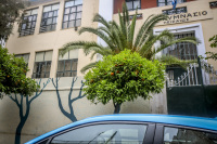 behind a blue car in piraeus are orange trees, palms and a painted schoolwall