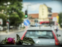 a dry pink rose is laying on the dashboard of a jeep wranlger by driving through athens