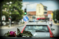 a dry pink rose is laying on the dashboard of a jeep wranlger by driving through athens